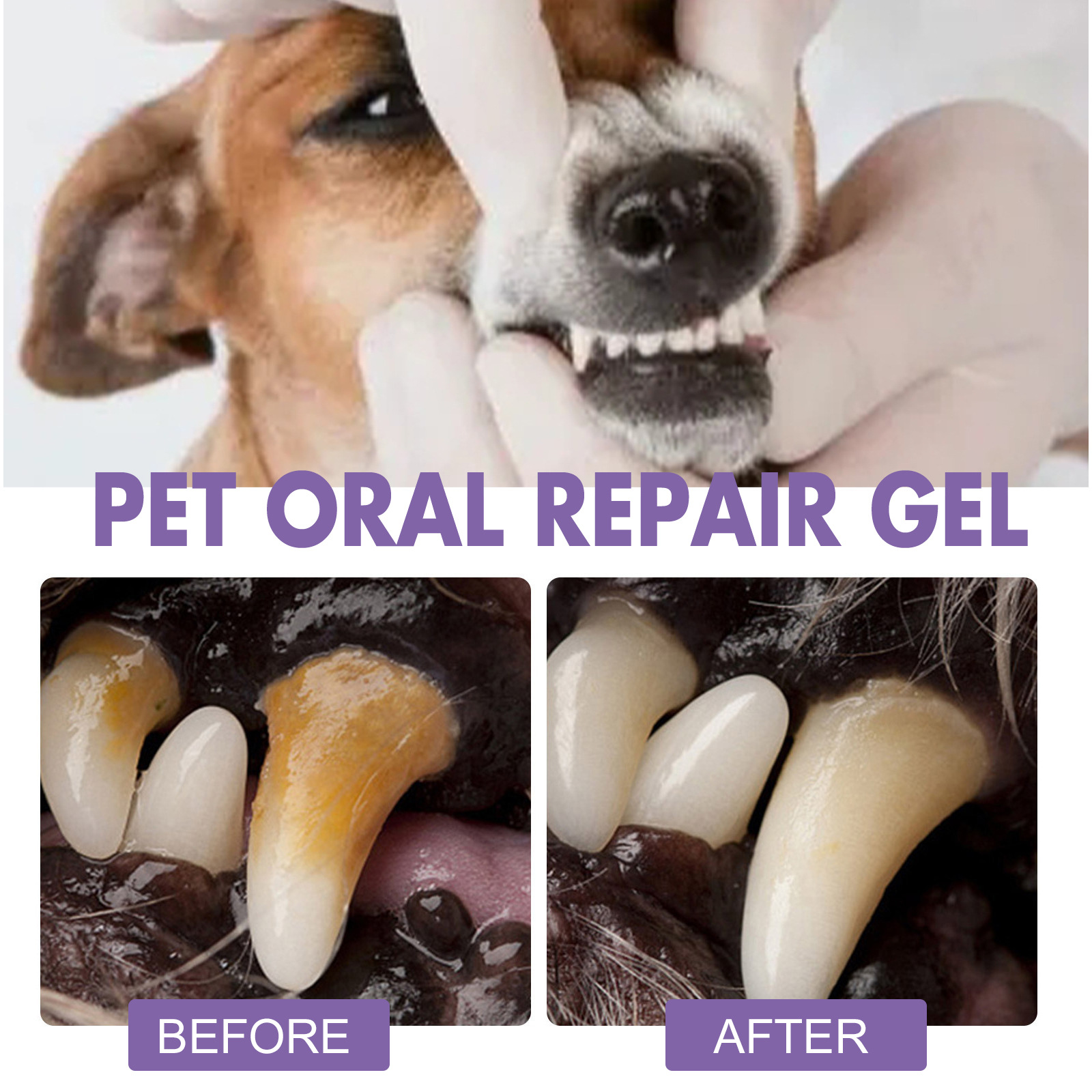 Pet Oral Onarım Jeli Yavru Tar - Teeth Whitening Hydrogen Peroxide incelemesi ve fiyatı
